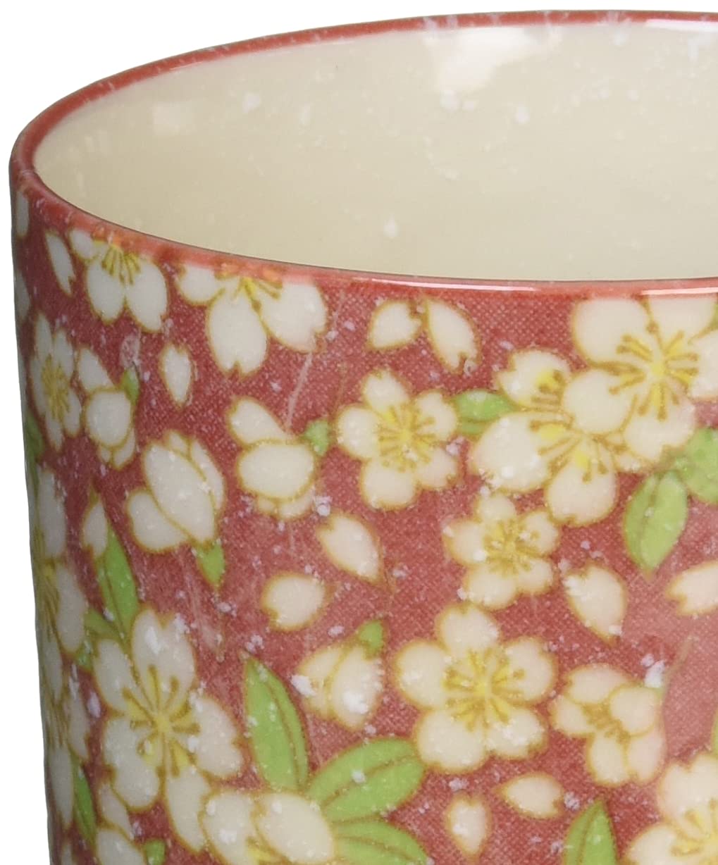 Amazon.com: かじゅあるらいふ(Kakuni) Mino Ware K14256 Sakura